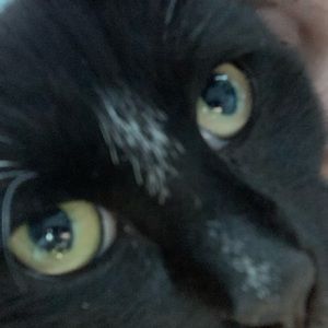 Meet your Posher, Trinity